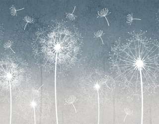 Фотошпалери повітряні кульбаби 29302