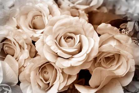 Фотошпалери 3D троянди Фотошпалери 3D троянди