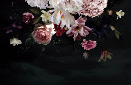 Фотообои Цветы на чорном фоне
