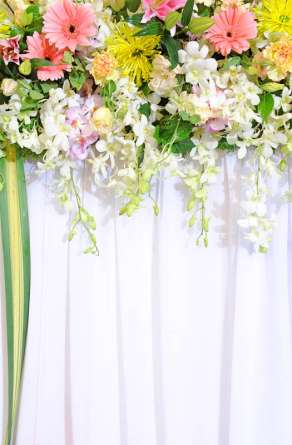 Фотошпалери Квіти зі стелі Фотошпалери Квіти зі стелі