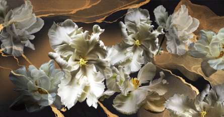 Фотошпалери махрові тюльпани Фотошпалери махрові тюльпани