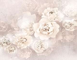 Фотообои Нежные белые пионы 20055