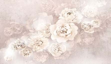 Фотообои Нежные белые пионы