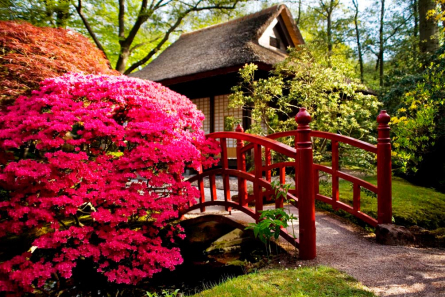 Фотообои Дом, цветы, мост