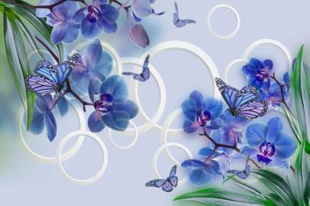Фотошпалери сині орхідеї і метелики Фотошпалери сині орхідеї і метелики