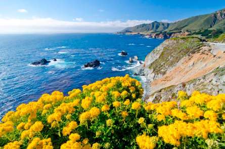 Фотошпалери Квіти та море Фотошпалери Квіти та море