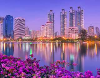 Фотошпалери бузкові квіти над річкою в місті 21036