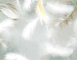 Фотошпалери пір'я з золотом 29229g