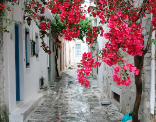 Фотообои Улочка в Греция 8639