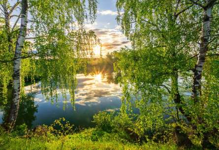 Фотошпалери Захід Сонця Фотошпалери Захід Сонця