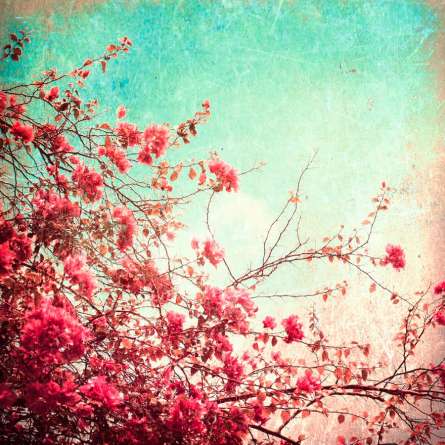 Фотошпалери Квіти прагнуть в небо Фотошпалери Квіти прагнуть в небо