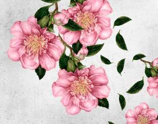 Фотообои Рисованные цветы на стене 20076