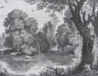 Фотообои Деревья гравюра 27157