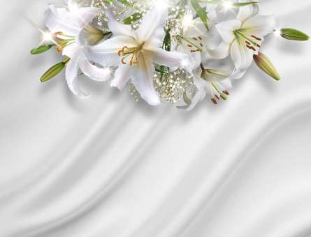 Фотошпалери Лілії на тлі атласу Фотошпалери Лілії на тлі атласу