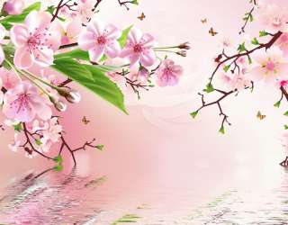 Фотошпалери квітучі гілки 31482