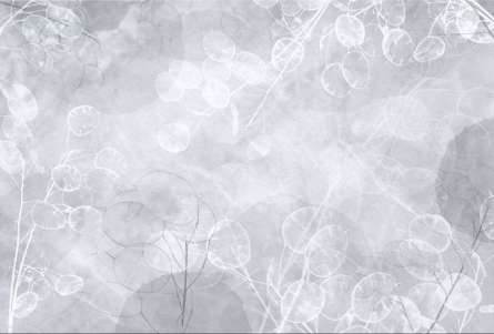 Фотообои Сухоцветы дизайнерские синие Фотообои Сухоцветы дизайнерские синие