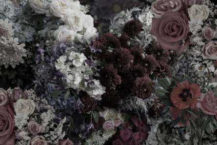 Фотошпалери Квіти Фотошпалери Квіти