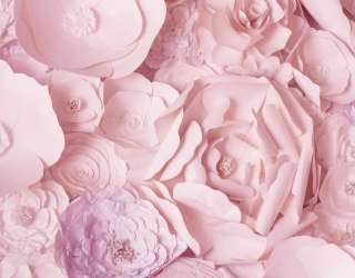 Шпалери паперові рожеві квіти 21012