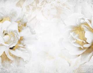 Фотошпалери білі квіти з золотом 29579