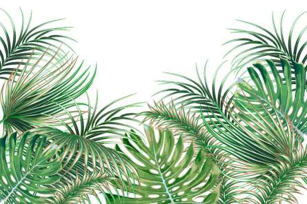 Фотошпалери тропічні листя