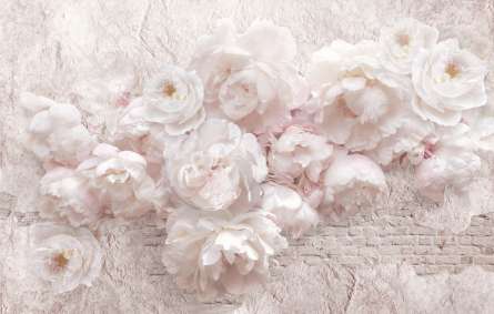 Фотообои Белые пионы шероховатая стена