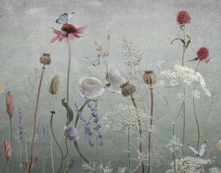 Фотошпалери польові дизайнерські квіти сірі 34351