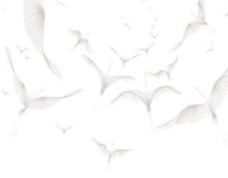 Фотошпалери птиці на білому тлі 31712_1