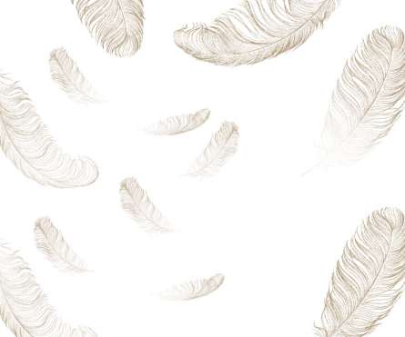 Фотошпалери Золоте перо Фотошпалери Золоте перо