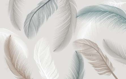 Фотошпалери Векторні пір'я Фотошпалери Векторні пір'я