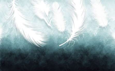 Фотошпалери білі пір'я зі стелі Фотошпалери білі пір'я зі стелі