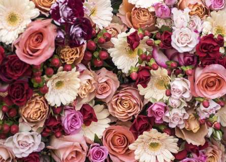 Фотошпалери квіти і ягоди Фотошпалери квіти і ягоди