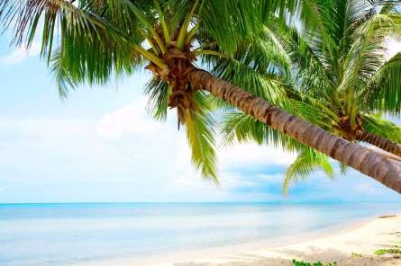 Фотообои Берег моря