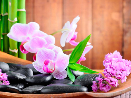 Фотообои Бледно-розовые орхидеи